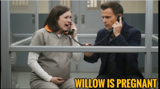 Willow is pregnant, Drew is forced to do shocking action ABC General Hospital Spoilers – News